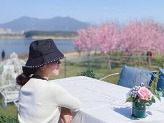 -福建鲤鱼洲酒店