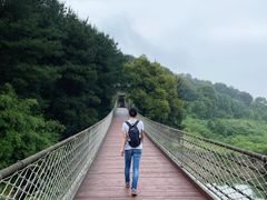 -铁山坪森林公园