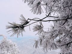 -武当山风景区