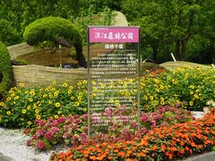 -上海滨江森林公园