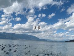 -大理洱海