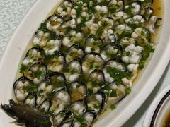 -呼吸森林·生态农庄农家乐私房菜