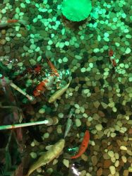 -酷嗒动物文化乐园(cutezoo西溪乐天城店)