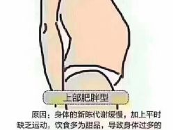 -香薇妮丝女子减肥院