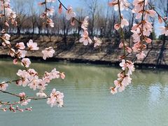 -东坝千亩湖公园