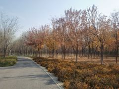 -东郊湿地公园
