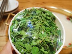 -四喜小胖·北京涮肉(五道营店)