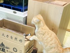 -谷咖啡·鲜花绿植花园餐厅