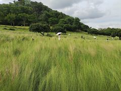 -红花山公园