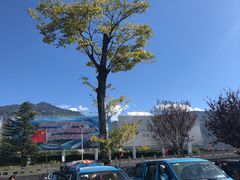-丽江三义国际机场