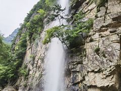 -青峰峡国家森林公园