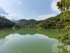 -广州白江湖森林公园