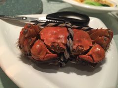 -新光酒家·河豚·海鲜·蟹料理(浦东店)