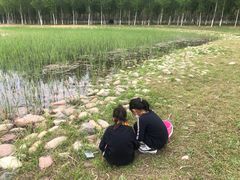 -东郊湿地公园