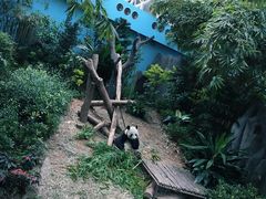 -河川生态园