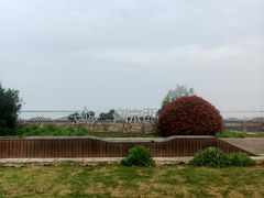-西京湾花海