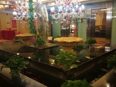 -汤泉良子.足疗按摩.SPA(中关村店)