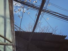 -百花深处胡同