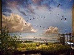 -中国湿地博物馆