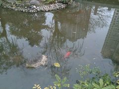 -苏州河梦清园环保主题公园