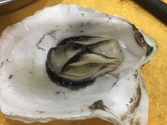 -蚝专家(北滘店)