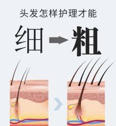 -Bollins波林丝•专研护发中心