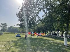 -天津武清北运河郊野公园房车露营地