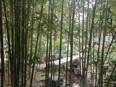 -秋霞圃
