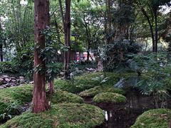 -成都市活水公园