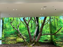 -极简口腔(总院)