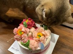 -BON CAKE(华贸购物中心店)