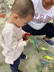 -上美四季动物农场