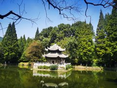 -习家池