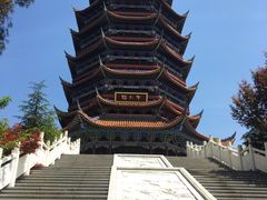 -铁山坪森林公园