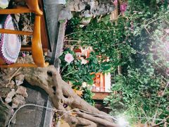 -海韵人家.海景花园经典云南菜(双廊店)