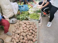 -南门绿玉农贸市场