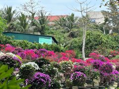 -三亚蜈支洲岛旅游区