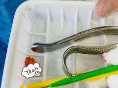 -上海市杨浦区牙病防治所