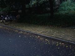 -浙江大学(玉泉校区)