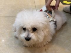 -宠颐生汉谟拉比宠物医院