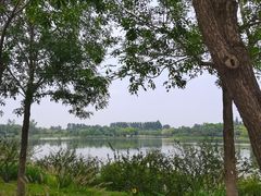 -东郊湿地公园