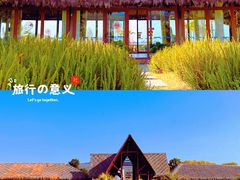 -月亮湾湿地公园