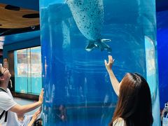 -海合安武汉极地海洋公园
