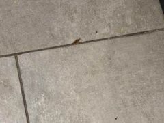 -潮发潮汕牛肉店(龙洞店)