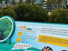 -霞山观海长廊