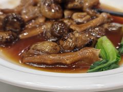 -海晖酒楼·顺德鱼生(荣华店)