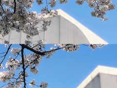 -龙美术馆(西岸馆)