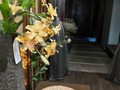 -Dragonfly悠庭·按摩Spa(新乐路店)