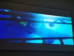 -璞禅足道(观音桥旗舰店)