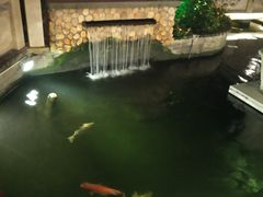 -顺德了能馆(虎门店)